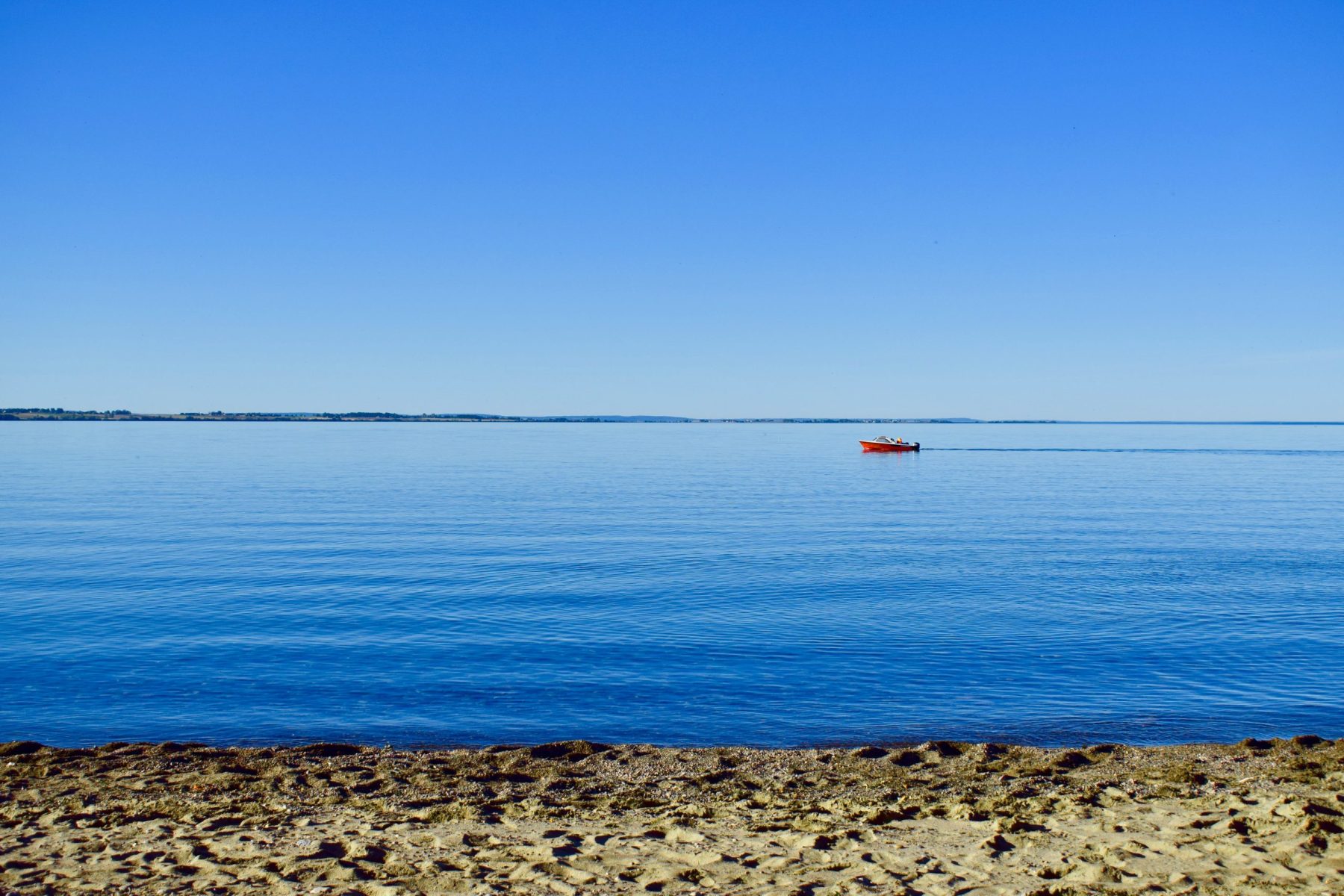 Denemarken