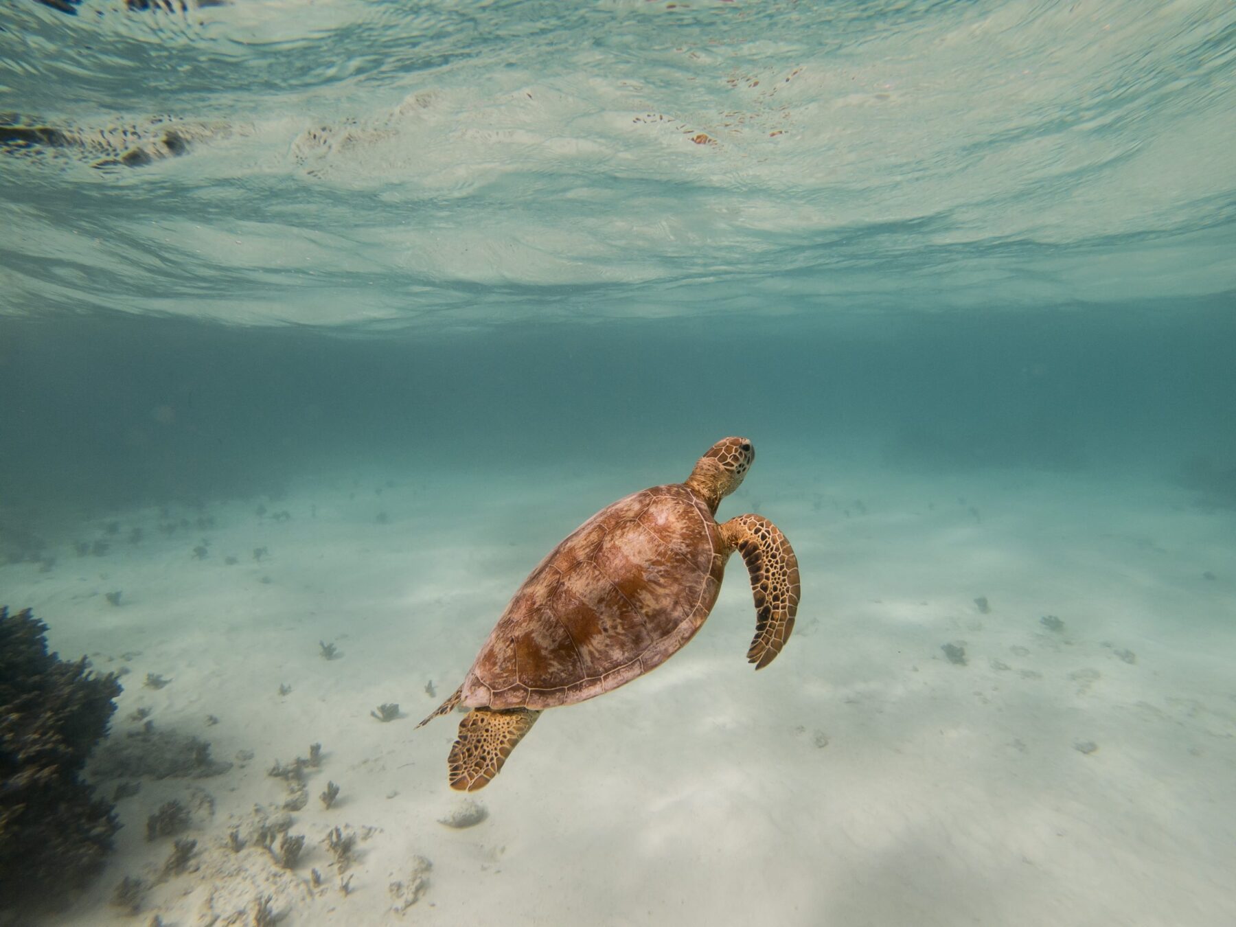 Frans Polynesië