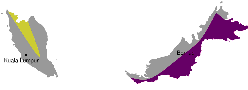 Malaria in Maleisië — Vaccinaties op Reis