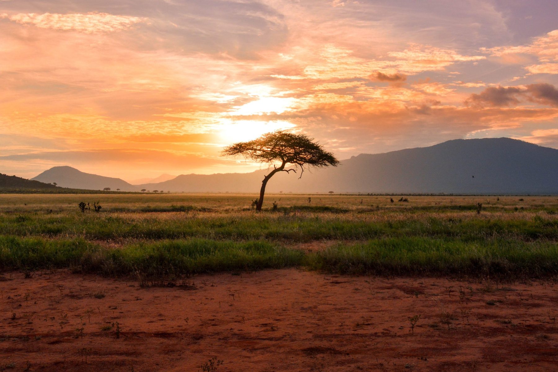 Malawi